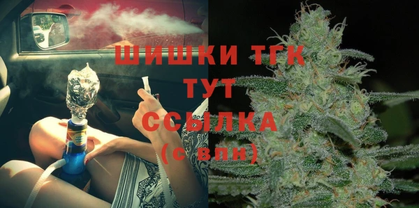 сатива Болотное