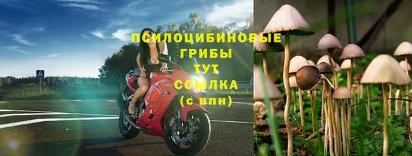скорость Няндома