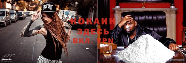 винт Осташков