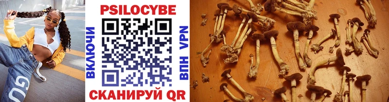 Псилоцибиновые грибы Magic Shrooms купить Полярный