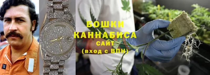 Шишки марихуана THC 21%  наркотики  Полярный 